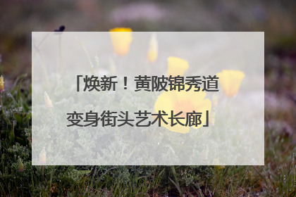 焕新！黄陂锦秀道变身街头艺术长廊
