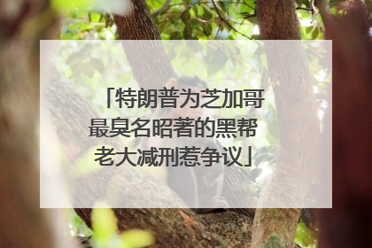 特朗普为芝加哥最臭名昭著的黑帮老大减刑惹争议