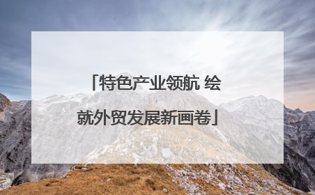 特色产业领航 绘就外贸发展新画卷