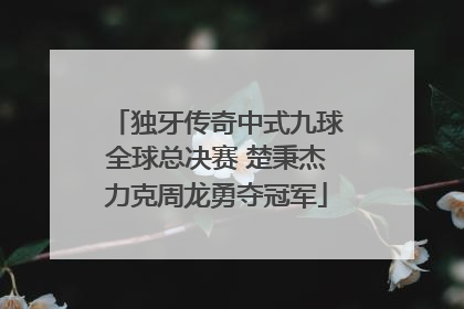独牙传奇中式九球全球总决赛 楚秉杰力克周龙勇夺冠军
