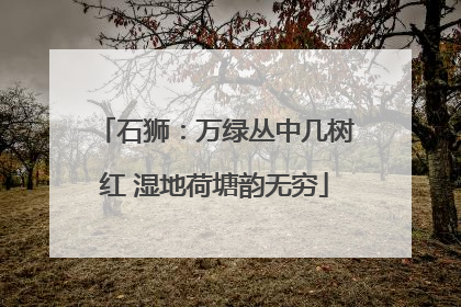 石狮：万绿丛中几树红 湿地荷塘韵无穷