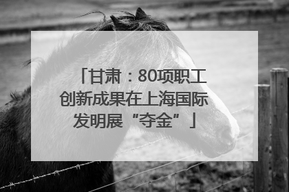 甘肃：80项职工创新成果在上海国际发明展“夺金”