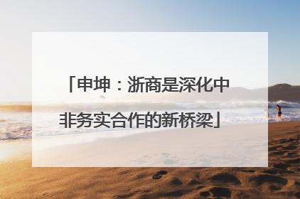 申坤：浙商是深化中非务实合作的新桥梁