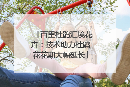 百里杜鹃汇境花卉：技术助力杜鹃花花期大幅延长