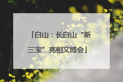 白山：长白山“新三宝”亮相文博会