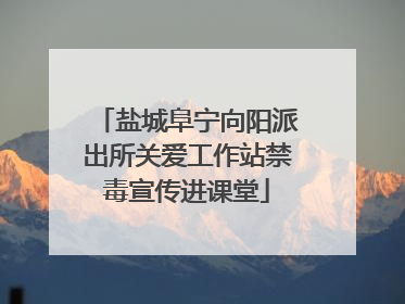 盐城阜宁向阳派出所关爱工作站禁毒宣传进课堂