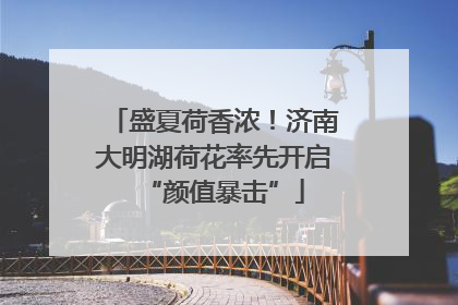 盛夏荷香浓！济南大明湖荷花率先开启“颜值暴击”