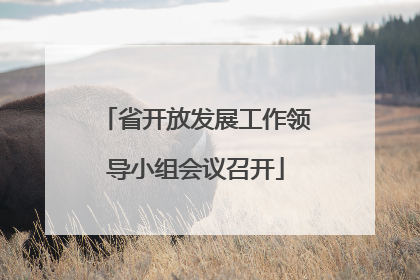 省开放发展工作领导小组会议召开
