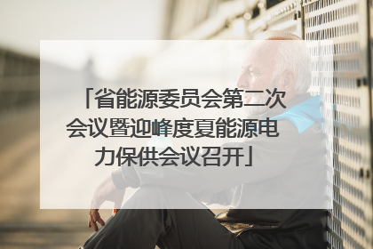省能源委员会第二次会议暨迎峰度夏能源电力保供会议召开