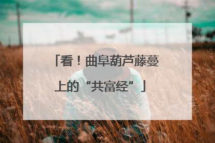 看！曲阜葫芦藤蔓上的“共富经”