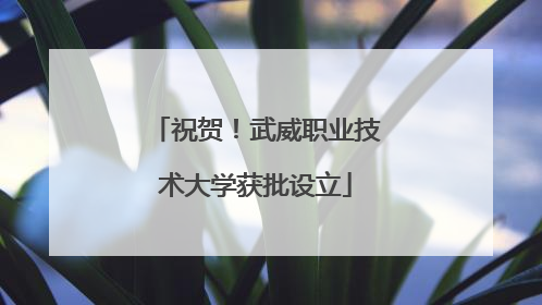 祝贺！武威职业技术大学获批设立