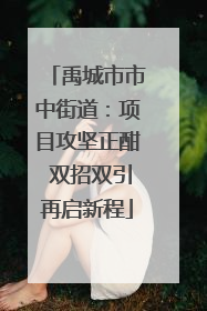 禹城市市中街道：项目攻坚正酣 双招双引再启新程