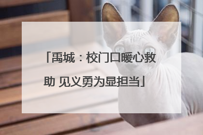 禹城：校门口暖心救助 见义勇为显担当