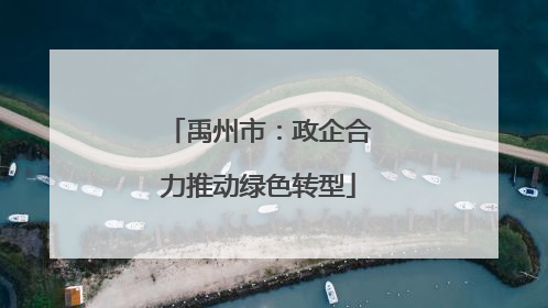 禹州市：政企合力推动绿色转型