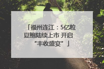 福州连江：5亿粒夏鲍陆续上市 开启“丰收盛宴”