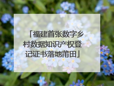 福建首张数字乡村数据知识产权登记证书落地莆田