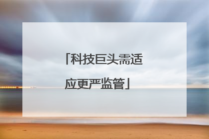 科技巨头需适应更严监管