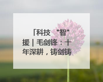 科技 “智”援｜毛剑锋：十年深耕，铸剑铸造创新之路