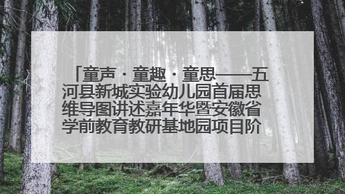 童声・童趣・童思——五河县新城实验幼儿园首届思维导图讲述嘉年华暨安徽省学前教育教研基地园项目阶段性成果展示活动