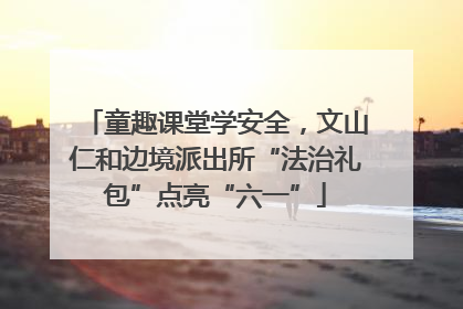 童趣课堂学安全，文山仁和边境派出所“法治礼包”点亮“六一”