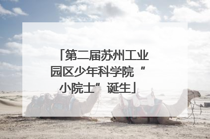 第二届苏州工业园区少年科学院“小院士”诞生