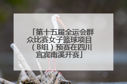 第十五届全运会群众比赛女子篮球项目（B组）预赛在四川宜宾南溪开赛