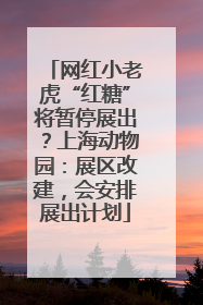 网红小老虎“红糖”将暂停展出？上海动物园：展区改建，会安排展出计划