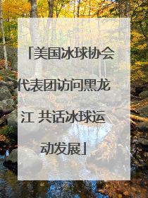 美国冰球协会代表团访问黑龙江 共话冰球运动发展