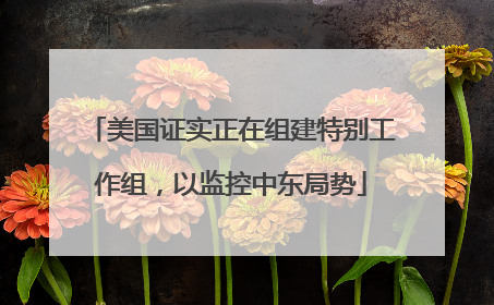 美国证实正在组建特别工作组，以监控中东局势