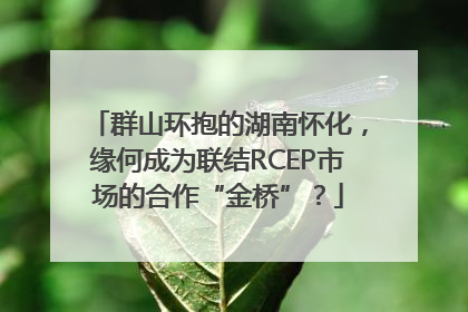 群山环抱的湖南怀化，缘何成为联结RCEP市场的合作“金桥”？