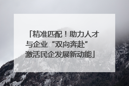精准匹配！助力人才与企业“双向奔赴” 激活民企发展新动能