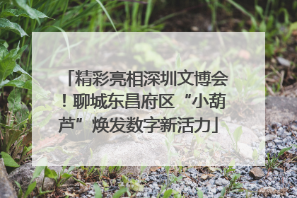 精彩亮相深圳文博会！聊城东昌府区“小葫芦”焕发数字新活力