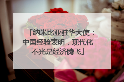 纳米比亚驻华大使：中国经验表明，现代化不光是经济腾飞