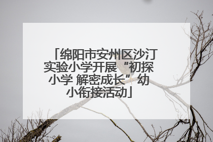 绵阳市安州区沙汀实验小学开展“初探小学 解密成长”幼小衔接活动