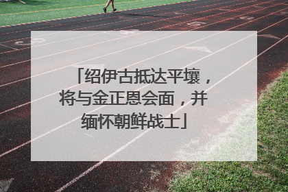 绍伊古抵达平壤，将与金正恩会面，并缅怀朝鲜战士