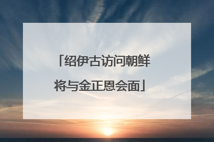 绍伊古访问朝鲜 将与金正恩会面