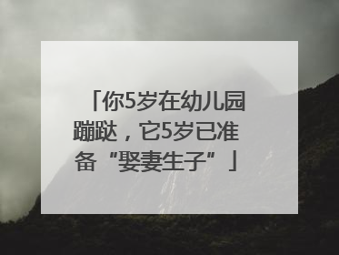 你5岁在幼儿园蹦跶，它5岁已准备“娶妻生子”