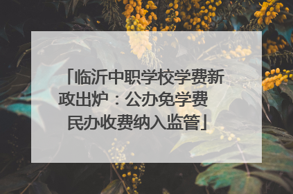 临沂中职学校学费新政出炉：公办免学费 民办收费纳入监管