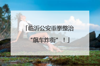 临沂公安重拳整治“飙车炸街”！