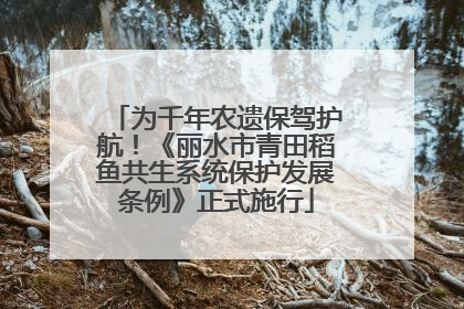 为千年农遗保驾护航！《丽水市青田稻鱼共生系统保护发展条例》正式施行