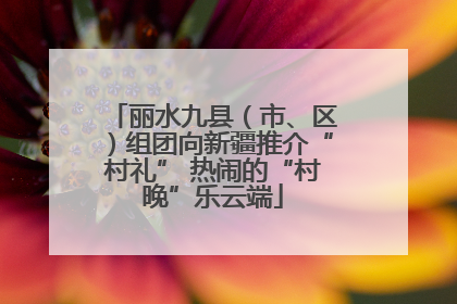 丽水九县（市、区）组团向新疆推介“村礼” 热闹的“村晚”乐云端