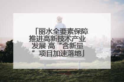 丽水全要素保障推进高新技术产业发展 高“含新量”项目加速落地