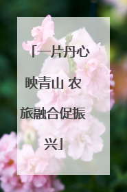 一片丹心映青山 农旅融合促振兴