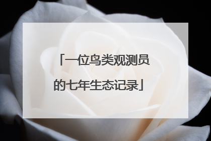 一位鸟类观测员的七年生态记录