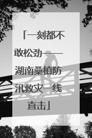 一刻都不敢松劲——湖南桑植防汛救灾一线直击