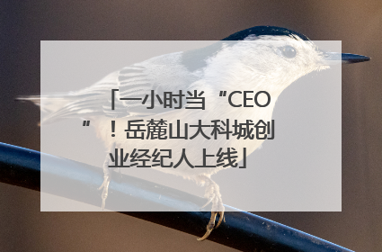 一小时当“CEO”！岳麓山大科城创业经纪人上线