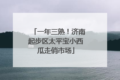 一年三熟！济南起步区太平宝小西瓜走俏市场