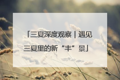 三夏深度观察｜遇见三夏里的新“丰”景