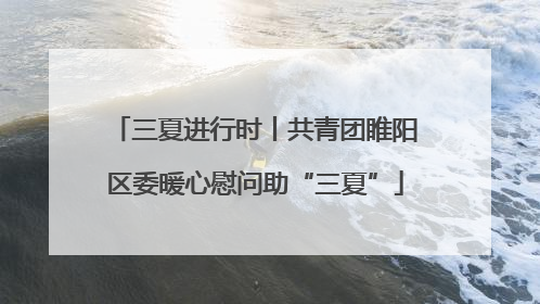 三夏进行时丨共青团睢阳区委暖心慰问助“三夏”