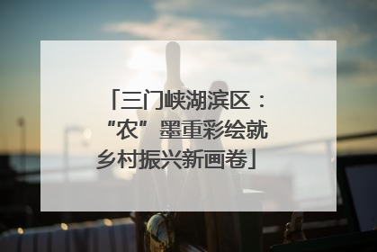 三门峡湖滨区：“农”墨重彩绘就乡村振兴新画卷